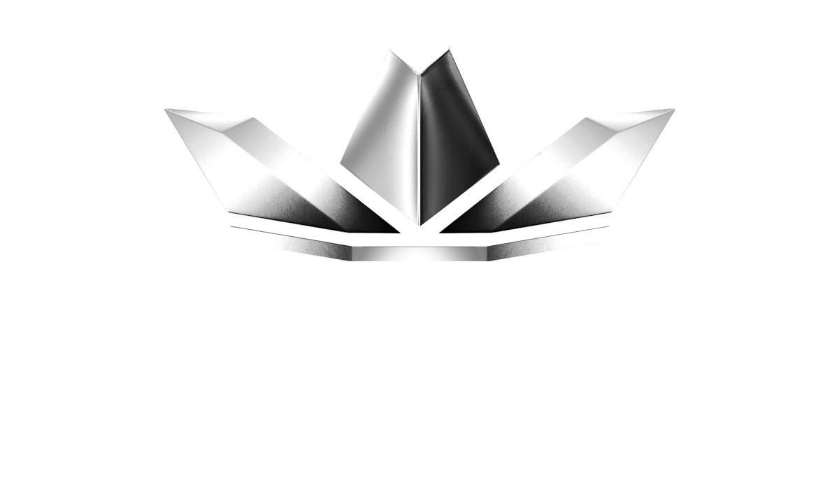 logo royars 3d blanc silver